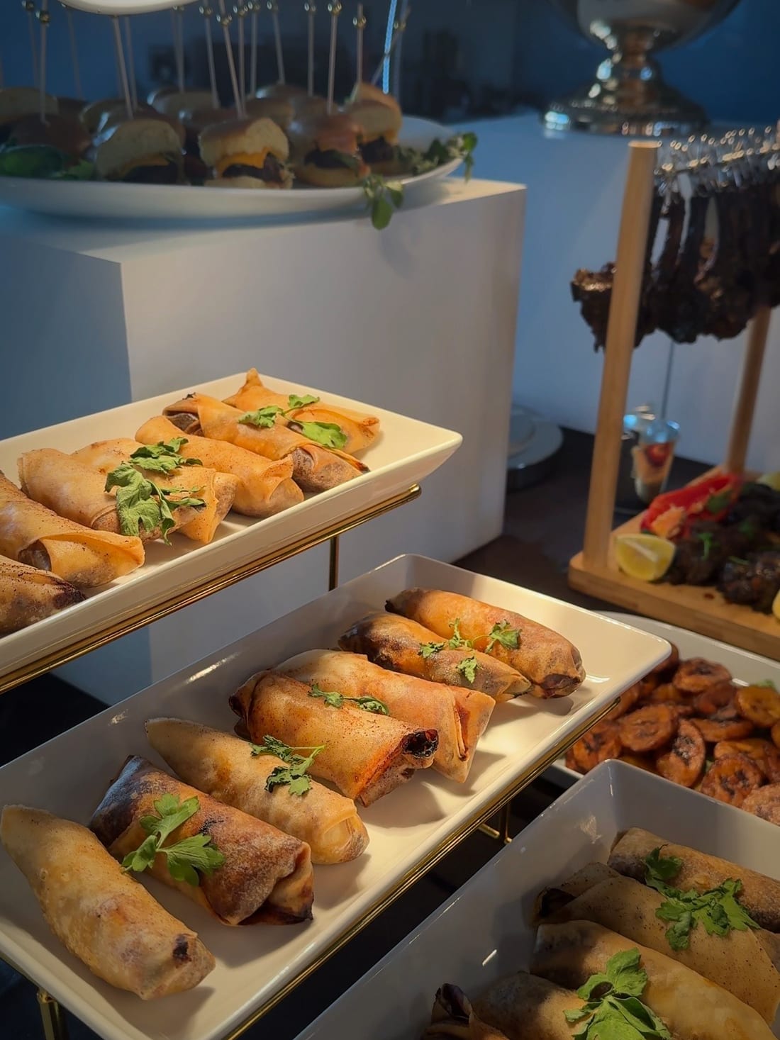 Cooking with Shabba — brown stew chicken spring rolls and plantain